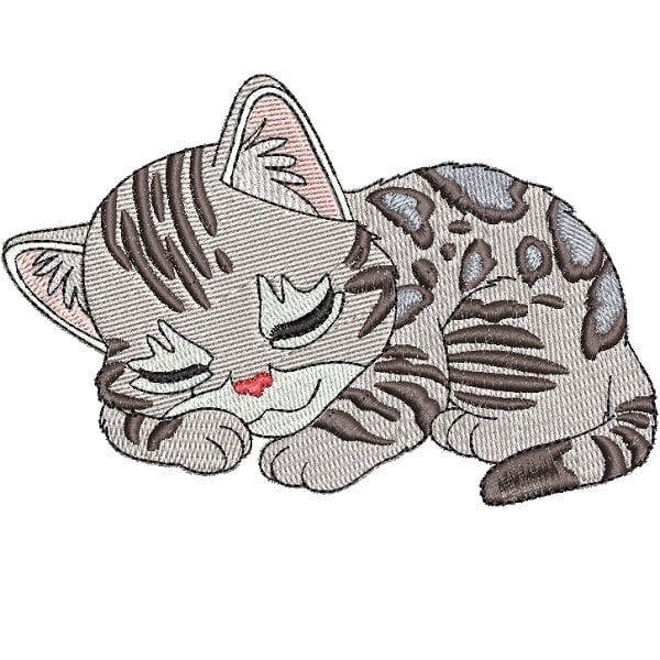 Baby Bengal Cat 1 – 5×7 – Stitchbox Creations