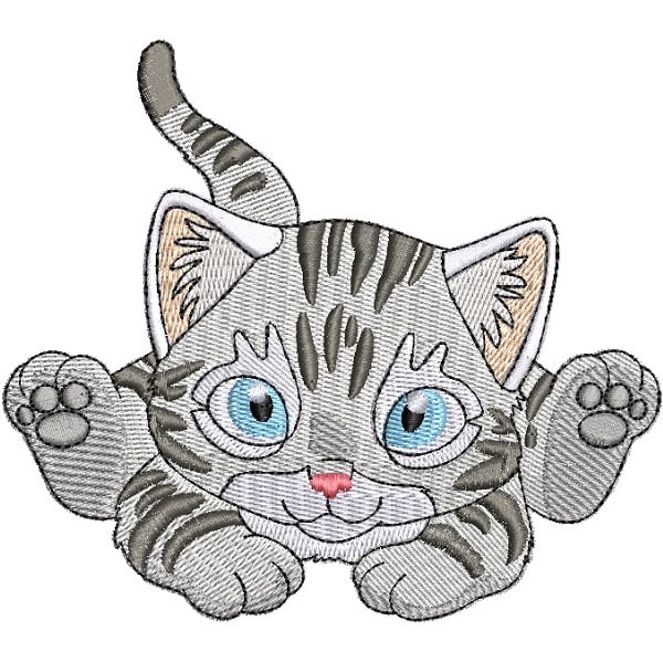 Baby Bengal Cat 4 – 5×7 – Stitchbox Creations
