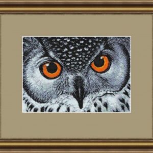 Photo Stitch Owl - 8x12