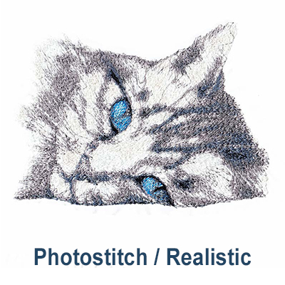 Photo Stitch and Realistic Designs